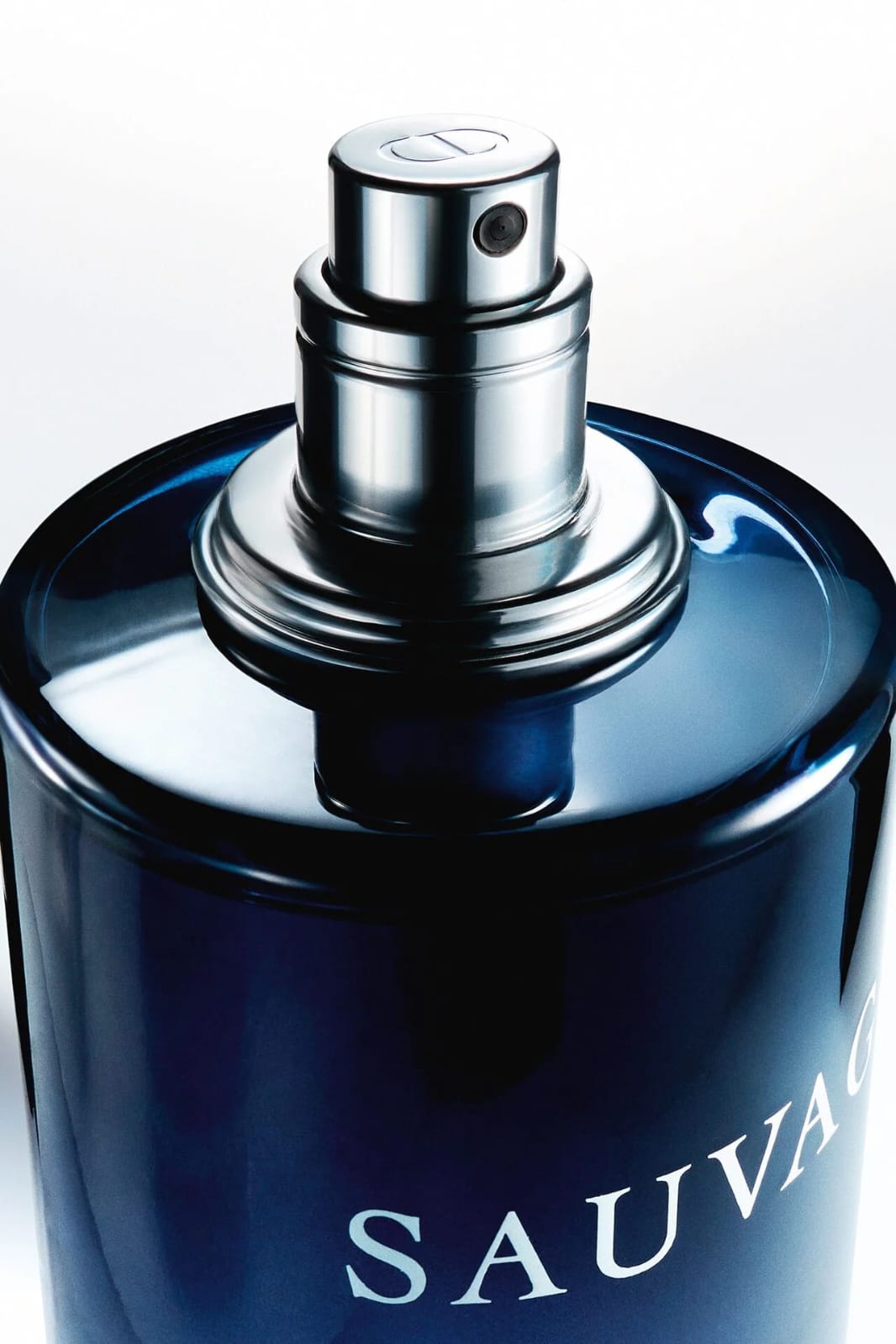 Dior Sauvage Eau de Parfum for Men